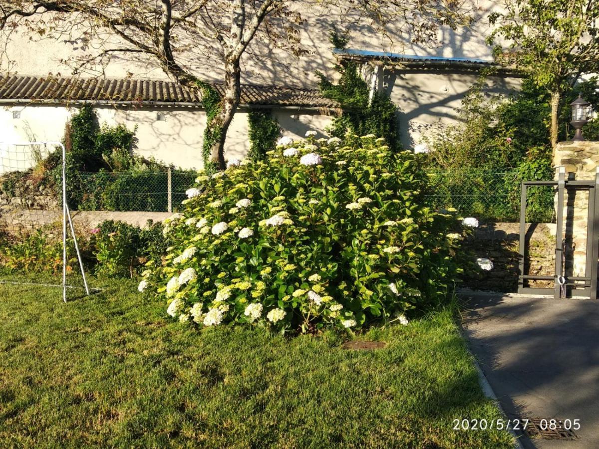 Casa Hortensia Salas  Extérieur photo